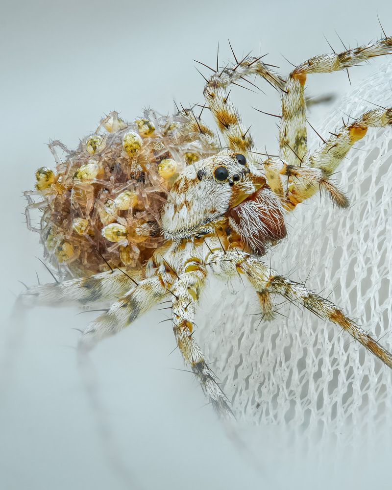 Photograph by Tran The Ngoc