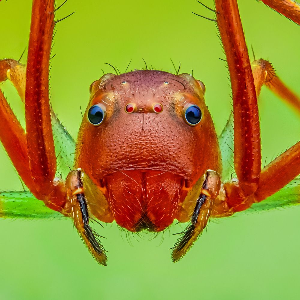 Photograph by Tran The Ngoc