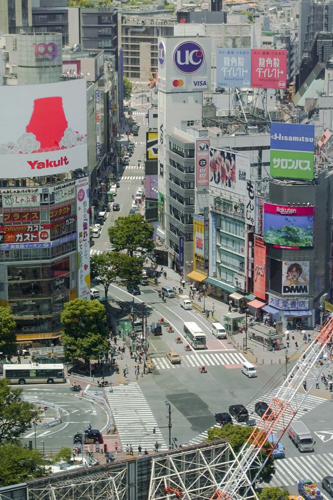 Фотография автора huiyi li