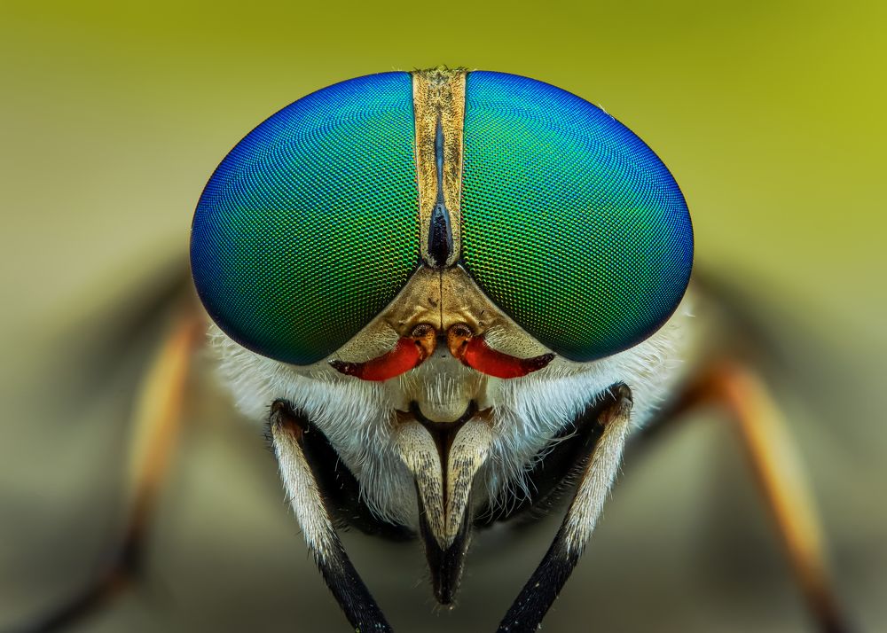 Photograph by Tran The Ngoc