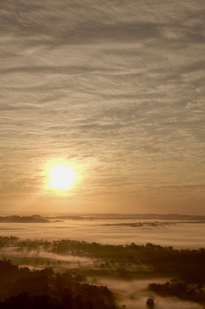 Фотография автора huiyi li