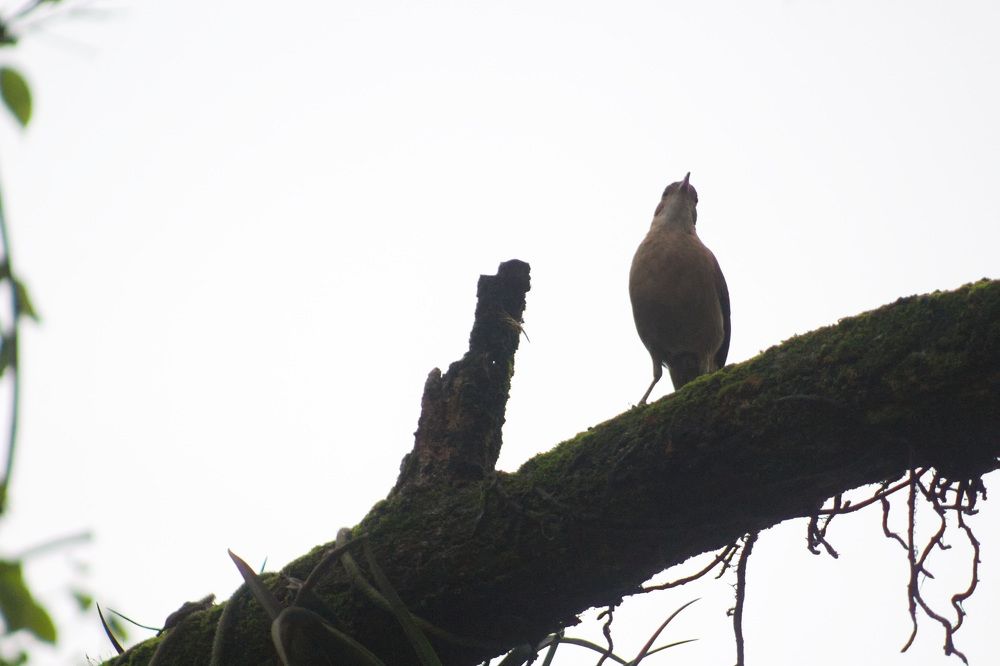 Photograph by Guillermo Topp