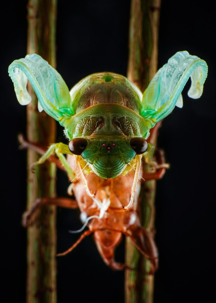 Photograph by Tran The Ngoc