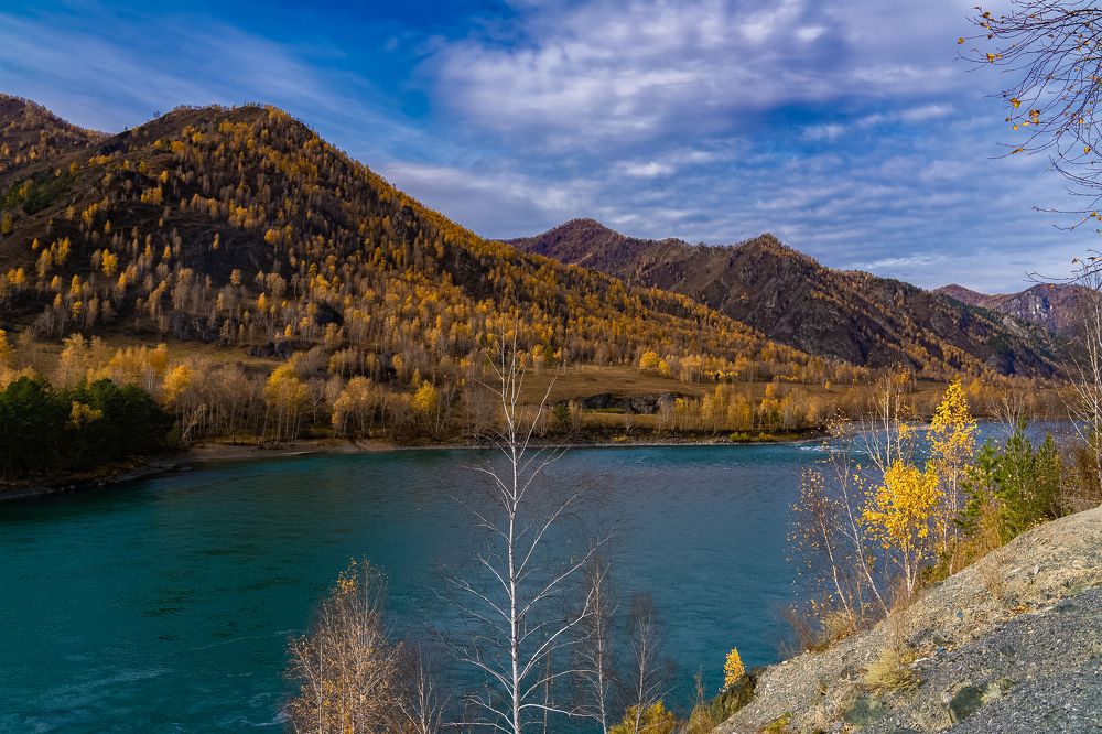 Осенняя Катунь