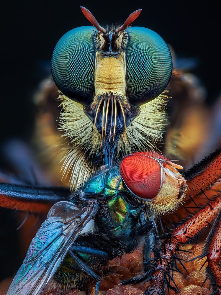 Photograph by Tran The Ngoc