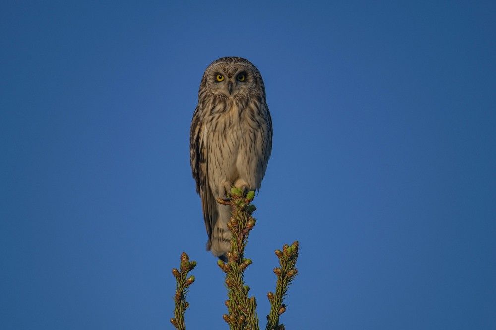 Photograph by Алексей Логинов