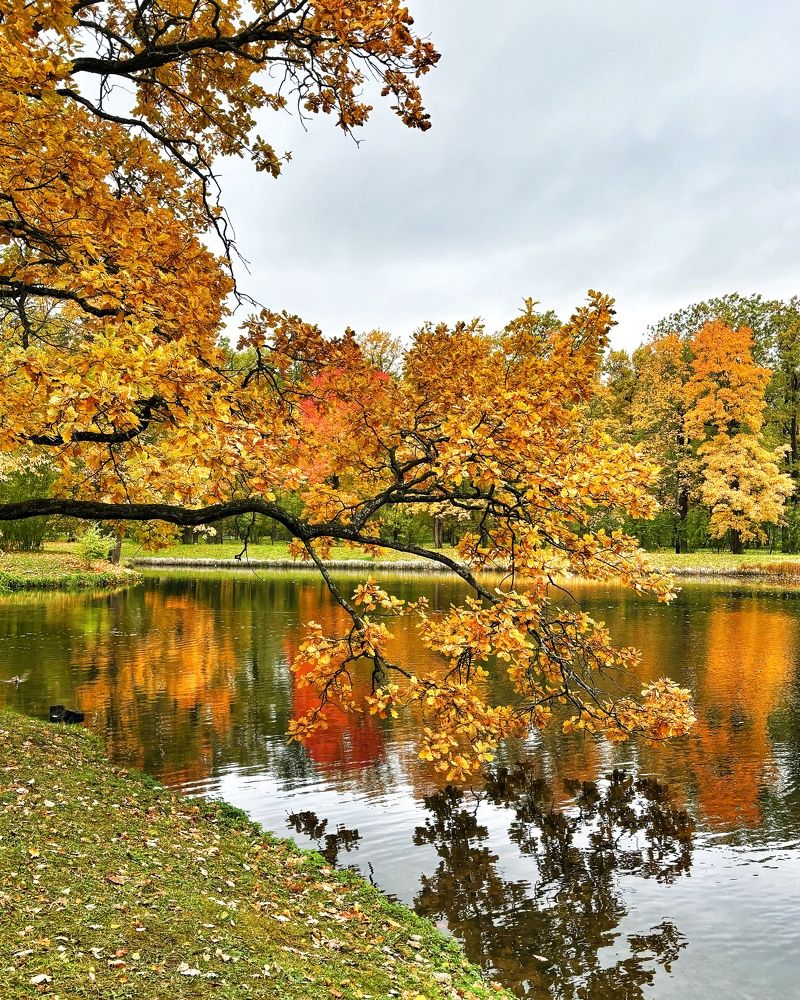 Photograph by Титаренко Людмила