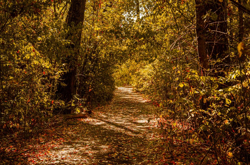 Photograph by Влад Василенко