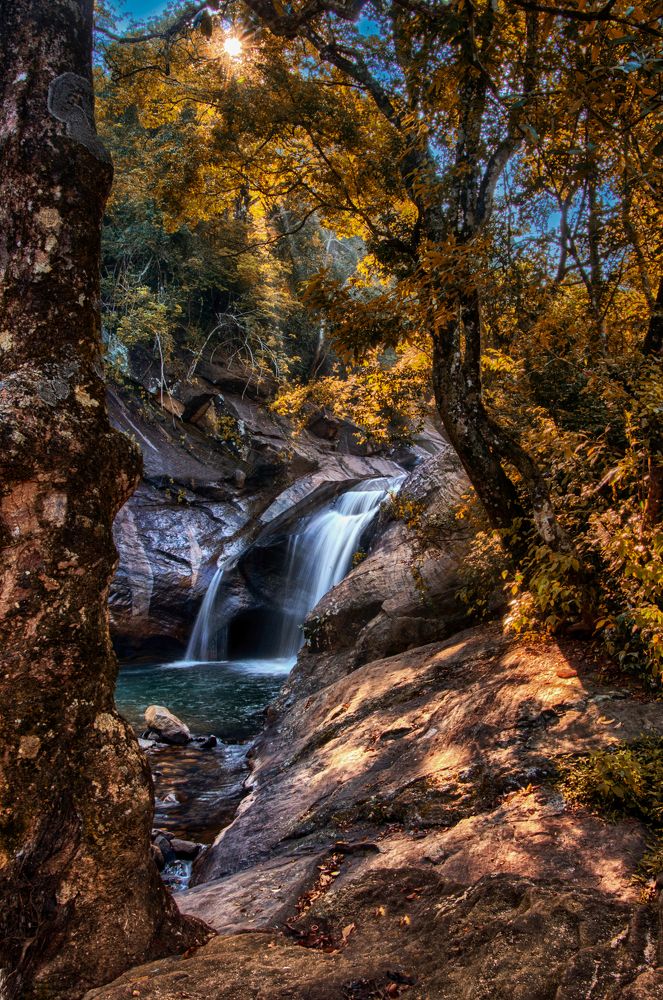 Photograph by Chamara Sulakkhana Polwatta Siriyalage