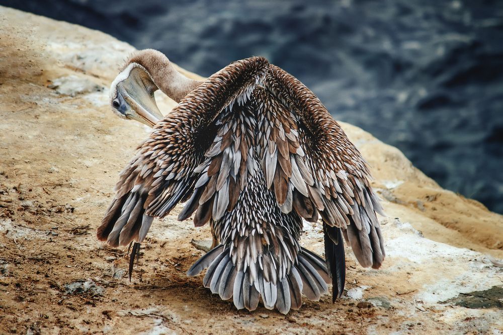 Photograph by Александр Волков