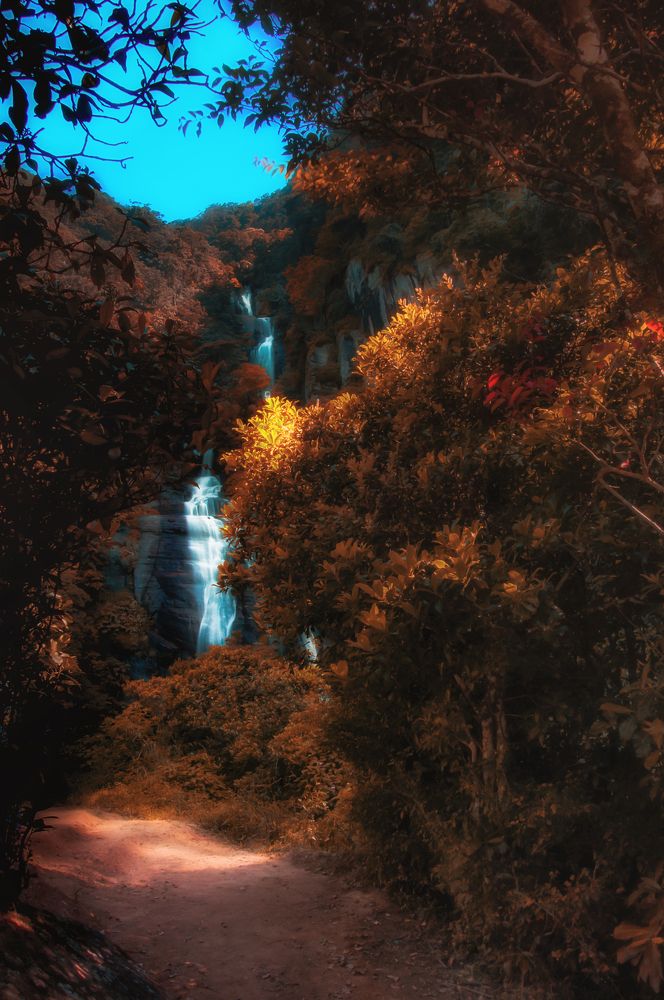 Photograph by Chamara Sulakkhana Polwatta Siriyalage