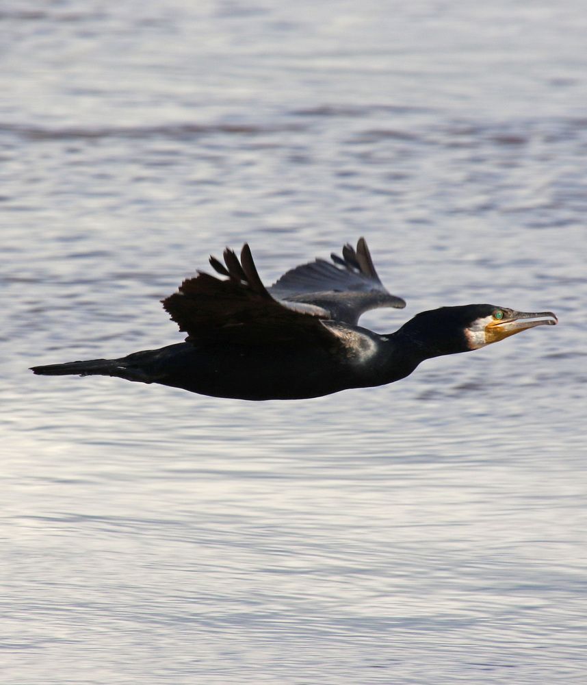 Photograph by Александр Ефимов