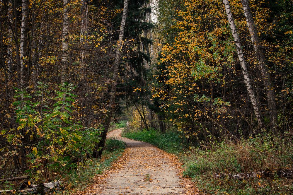 Photograph by Mikhail