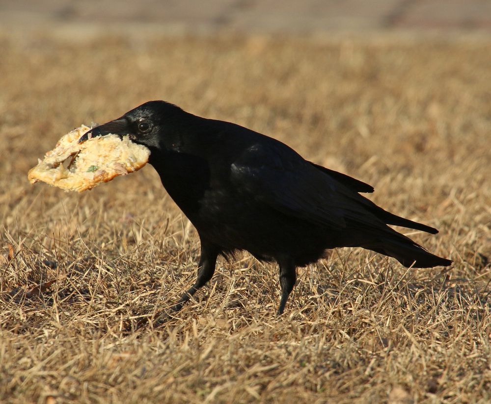 Photograph by Александр Ефимов