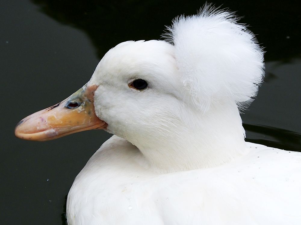 Photograph by Abdolreza Aleagha