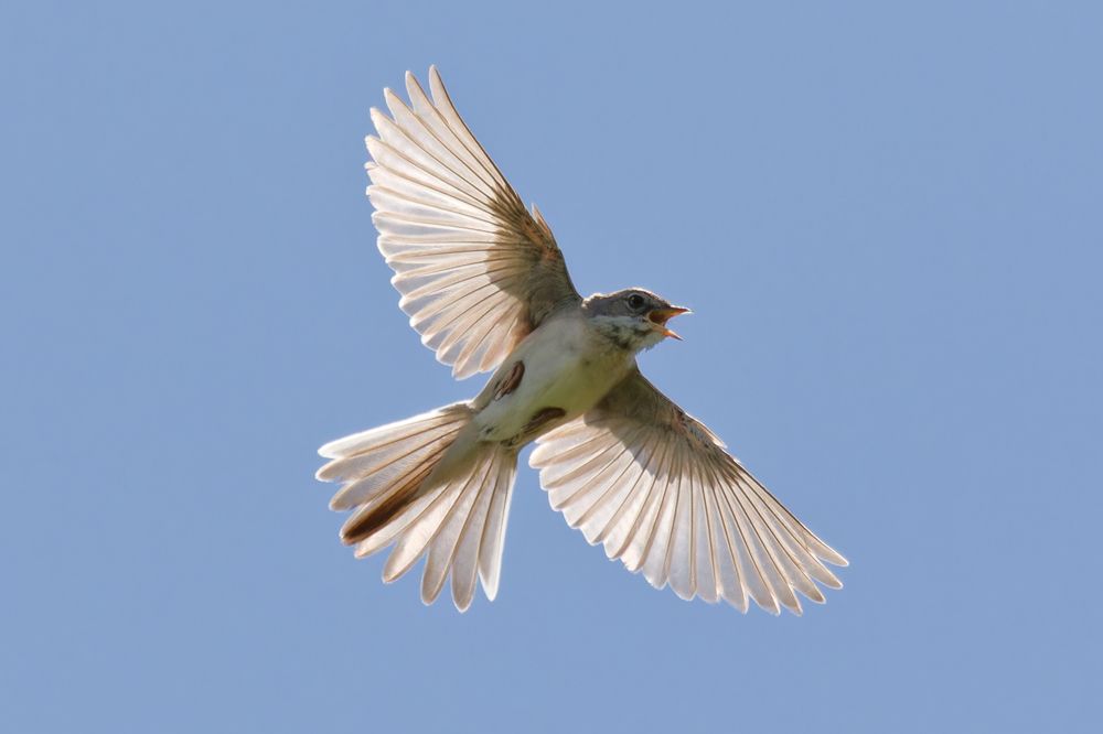 Photograph by Андрей Иванов