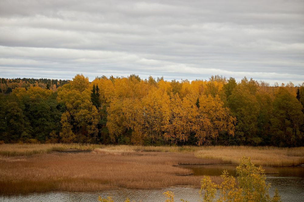 Photograph by Анна Голубова