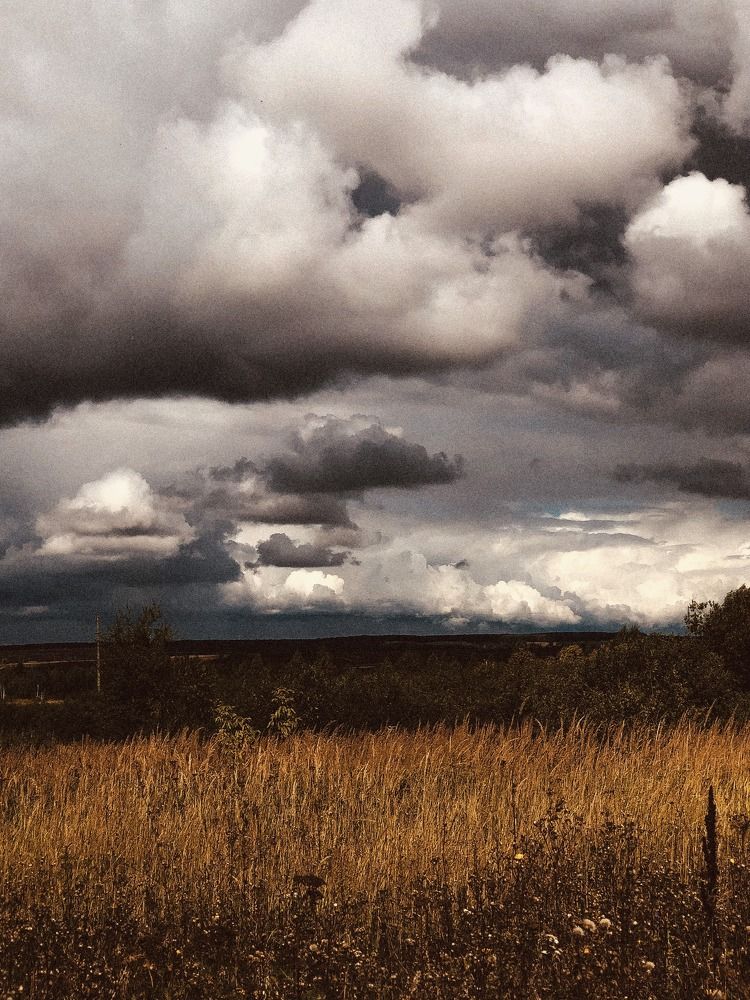 Photograph by Диана Бадеева