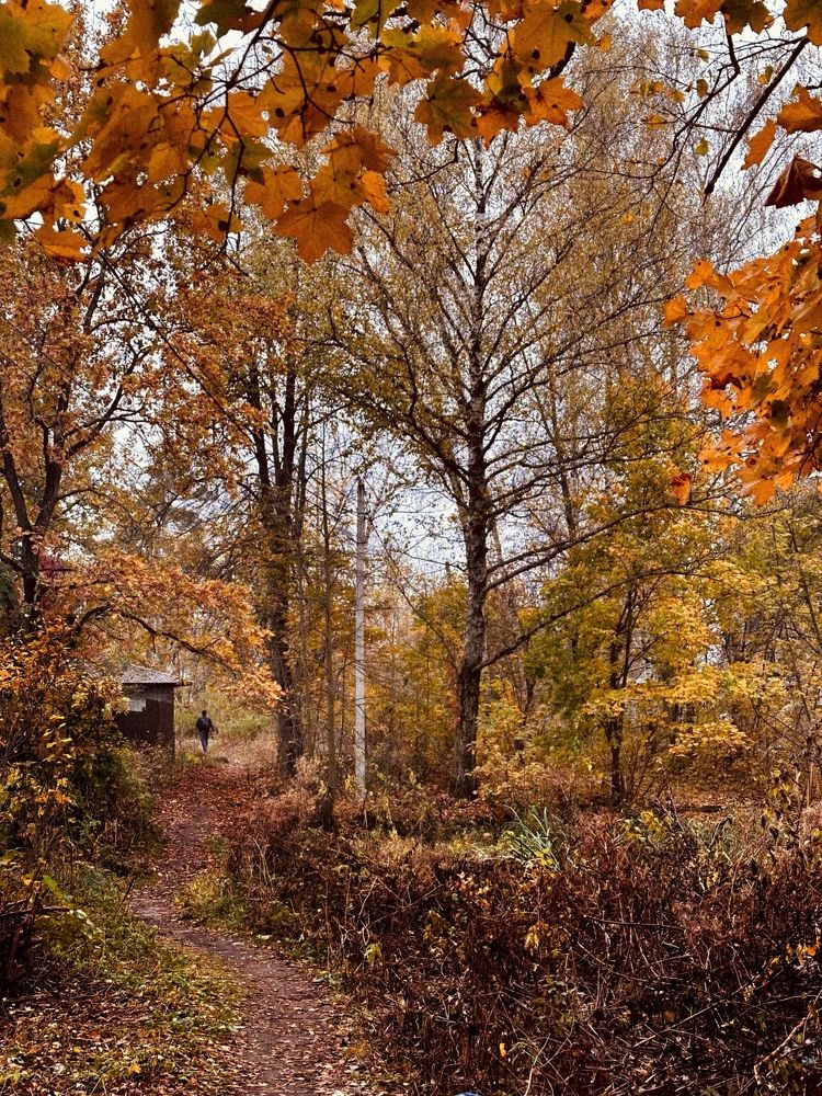 Photograph by Диана Бадеева