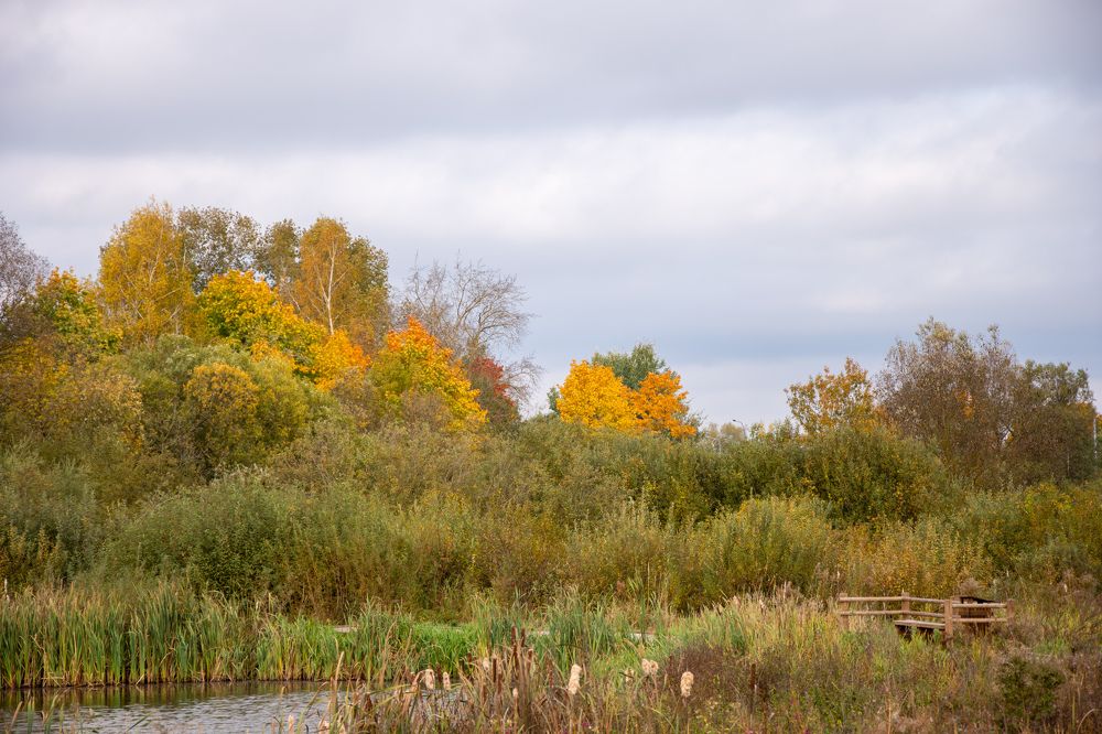 Фотография автора Нина Шкляр