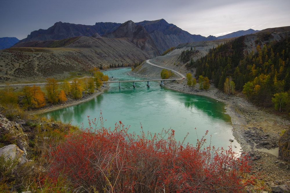 Photograph by Чичкин Валерий