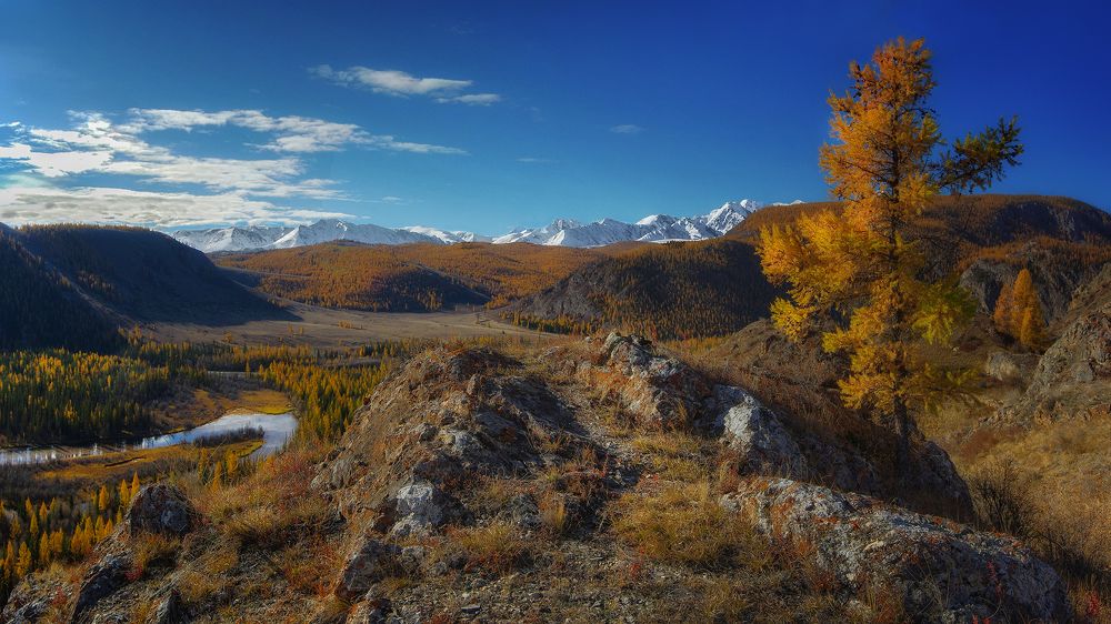 Photograph by Чичкин Валерий