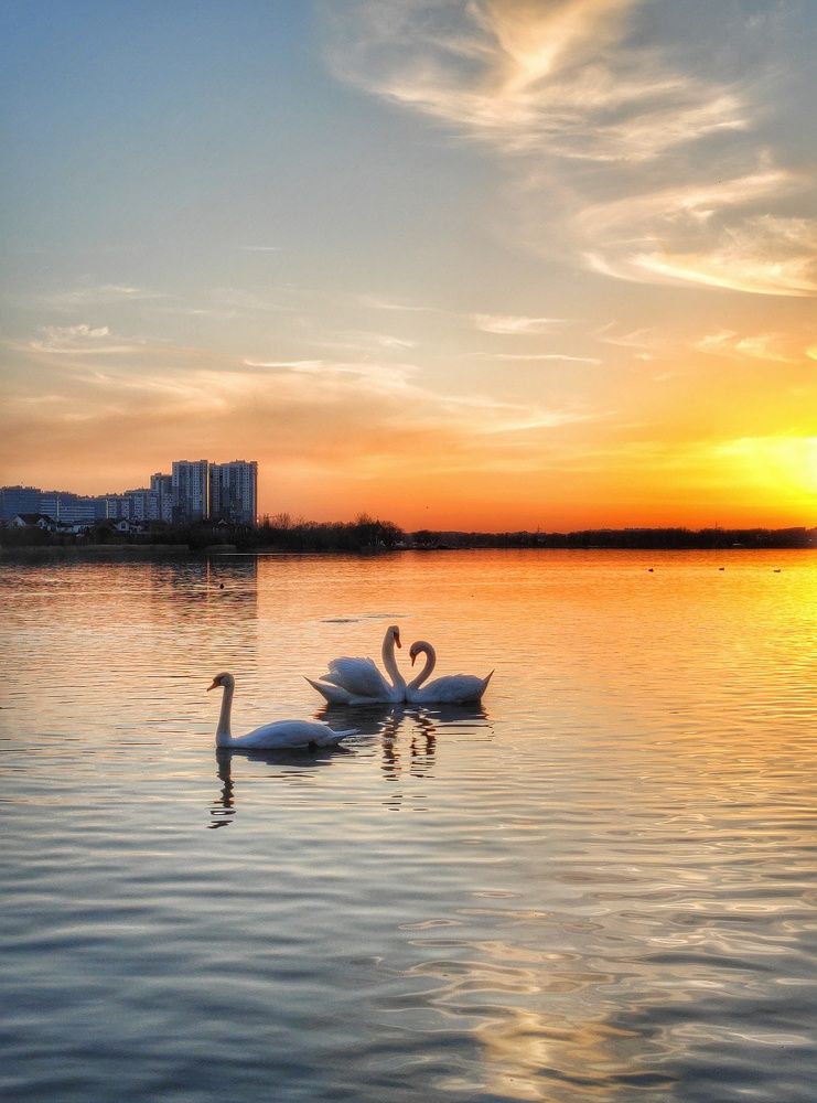 Photograph by Владимир Шаруба