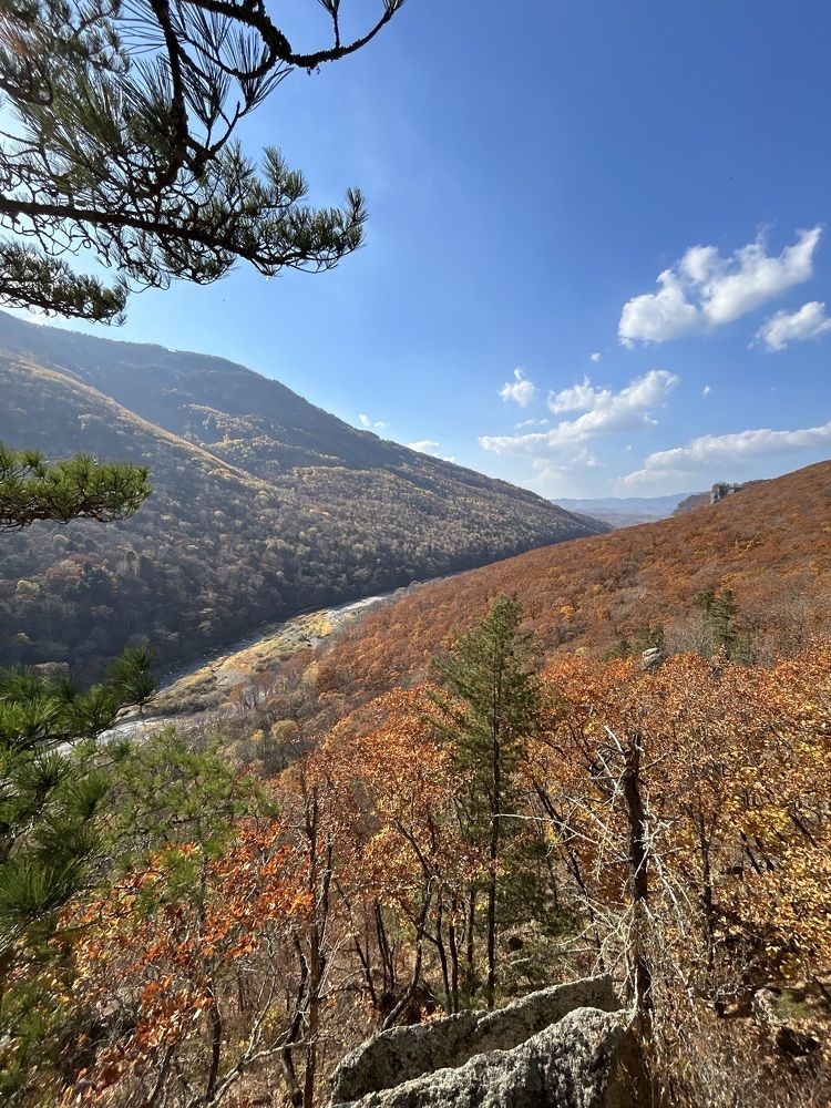 Photograph by Елена Власова