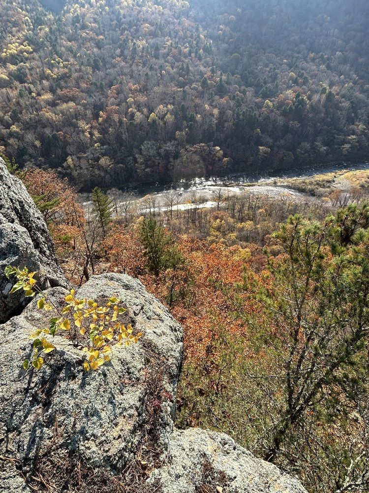 Photograph by Елена Власова