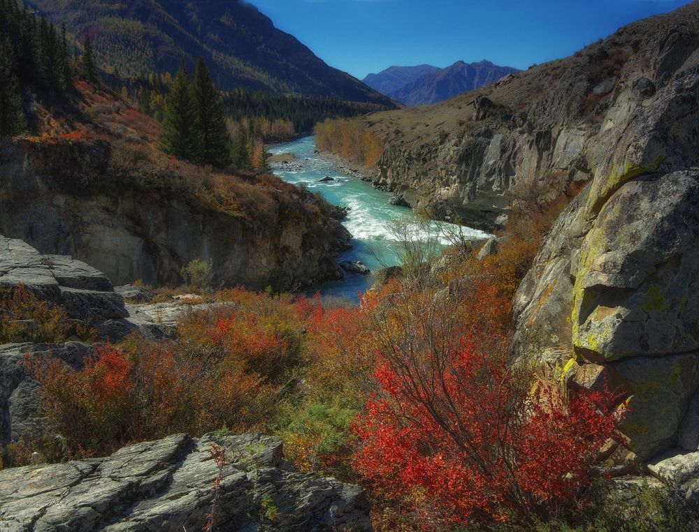 Photograph by Чичкин Валерий