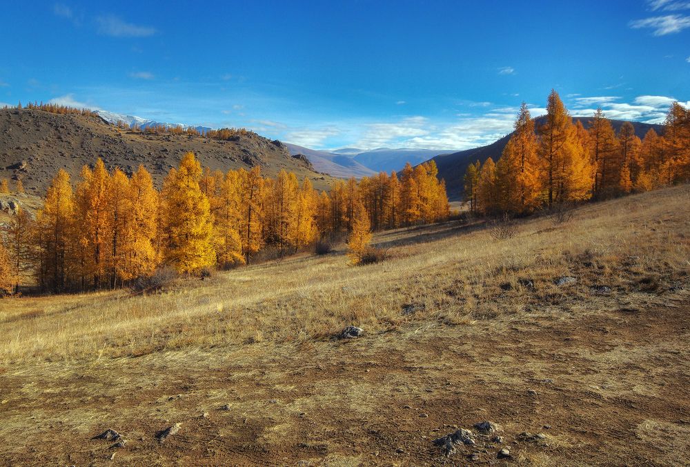 Photograph by Чичкин Валерий