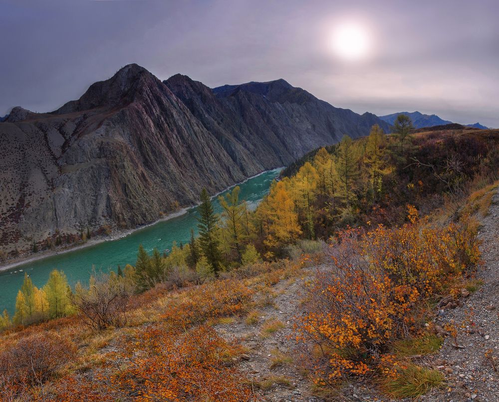 Photograph by Чичкин Валерий