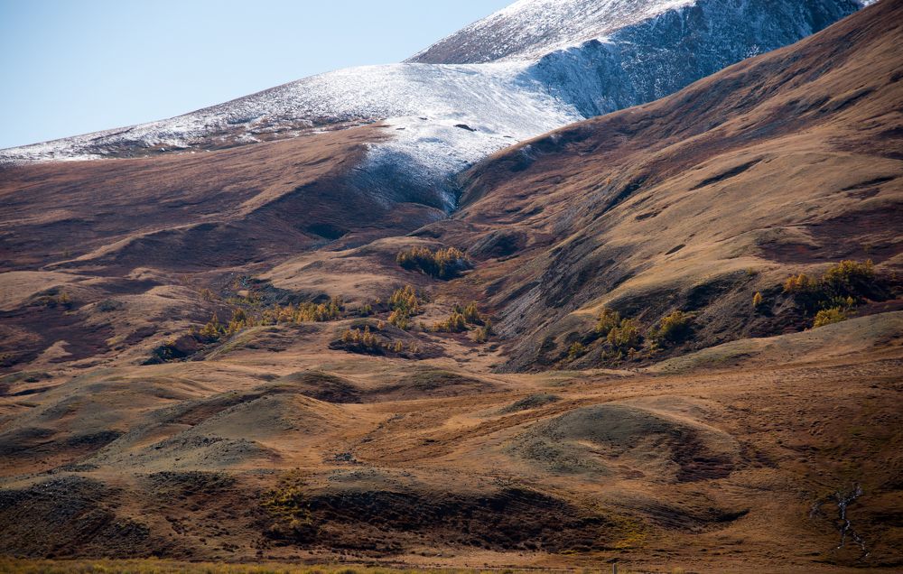 Краски осени