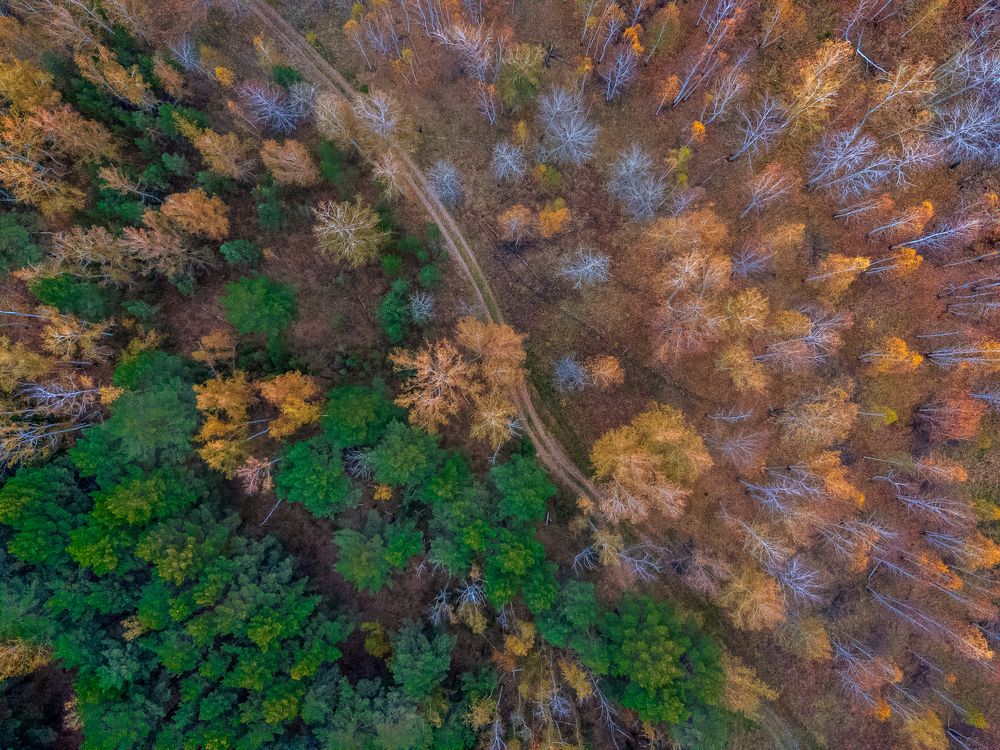 Photograph by Никита Борзов