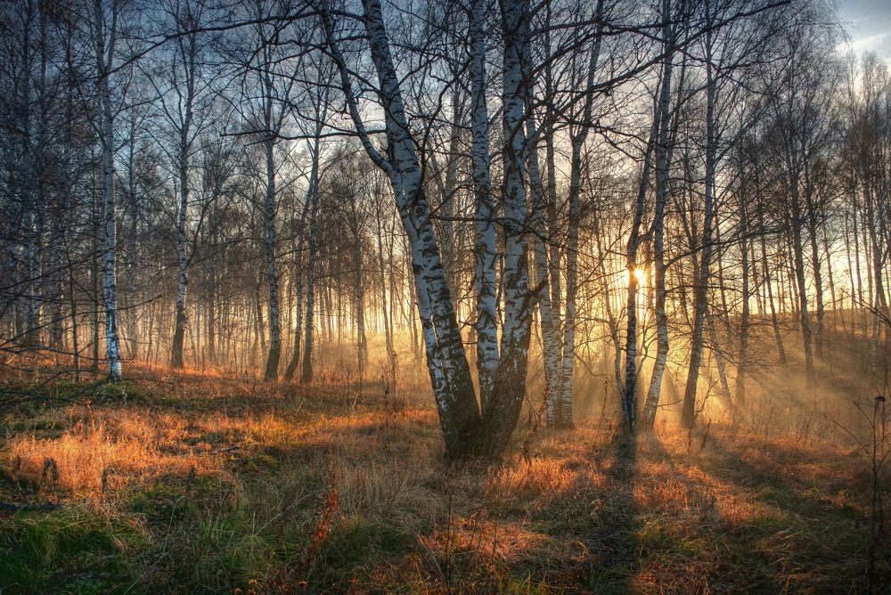Октябрьский рассвет