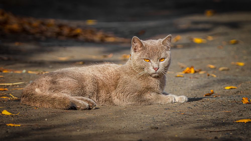 Photograph by Олег Белан