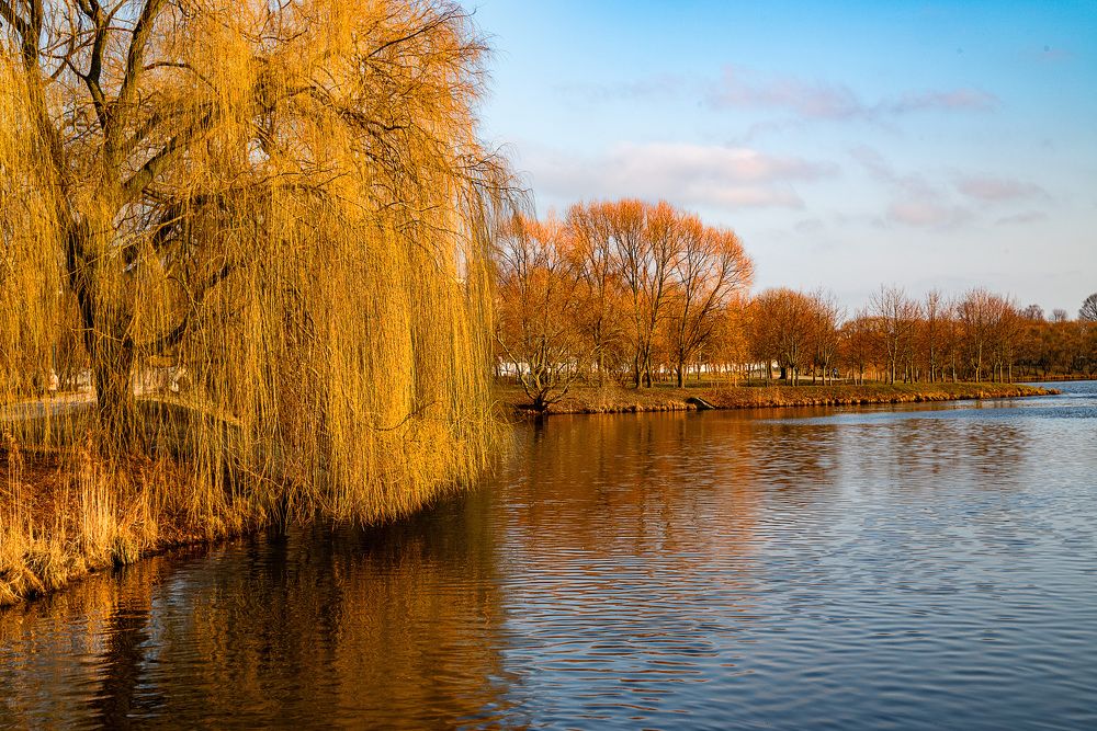 Фотография автора марина леоненко