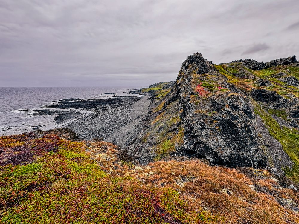 North Autumn
