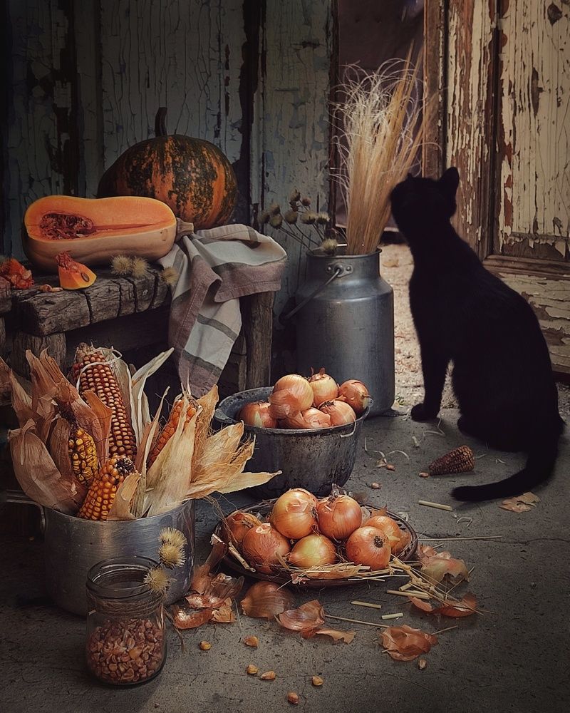 Фотография автора Инга Шевелёва