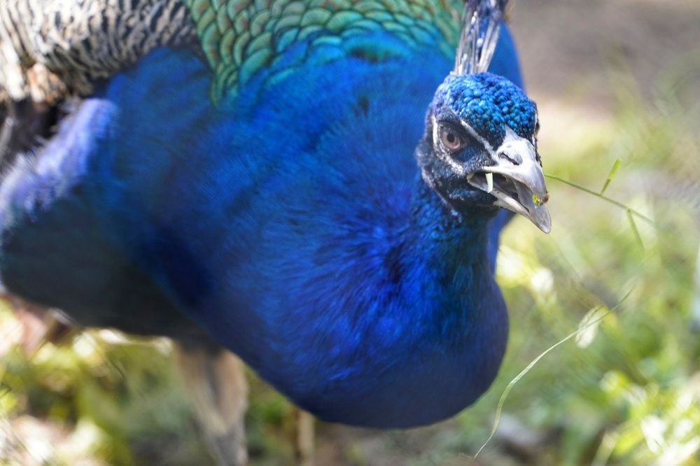 Photograph by Марина Безенкина