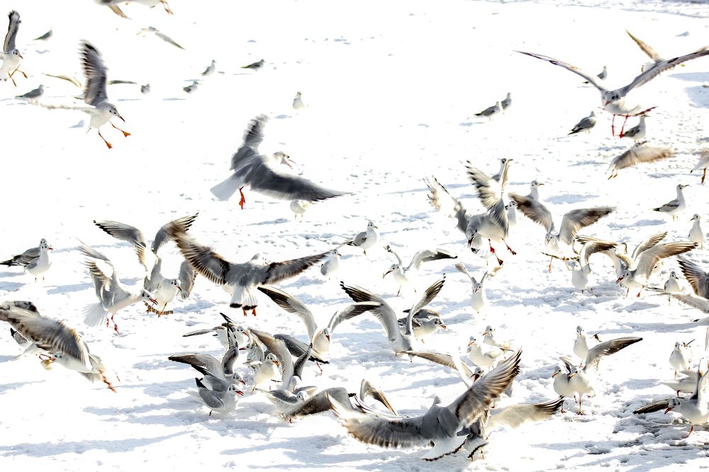 Фотография автора Orhan Bektaş