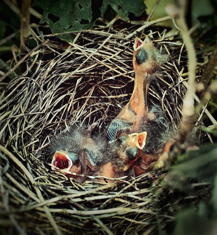 Photograph by Ярославна