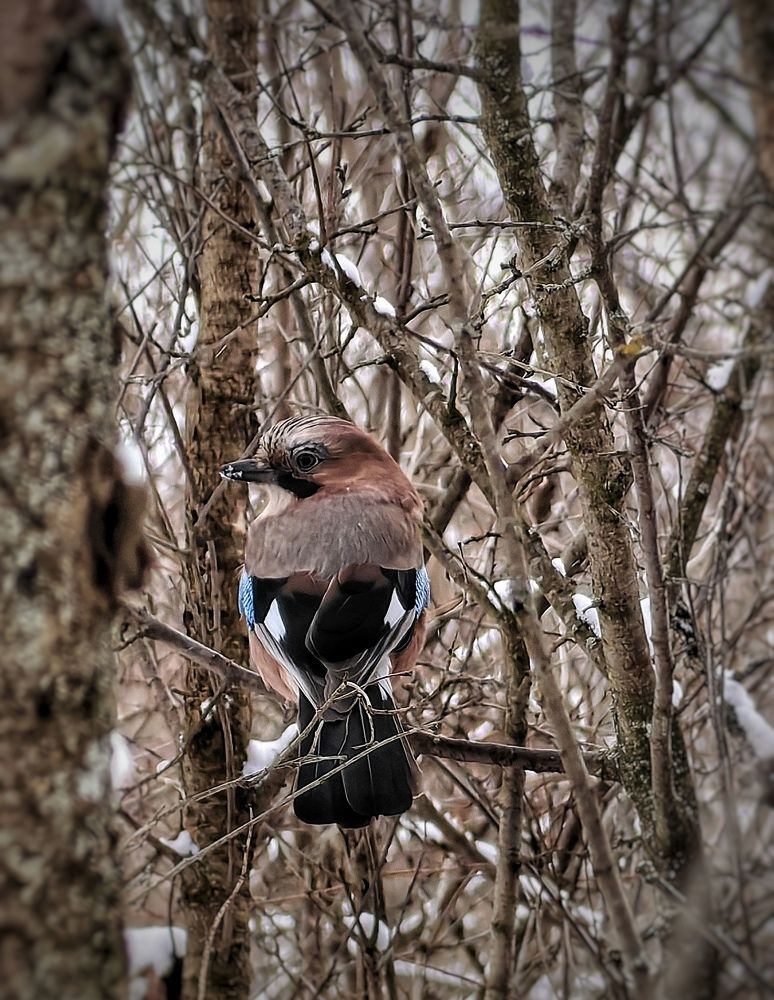 Photograph by Ярославна