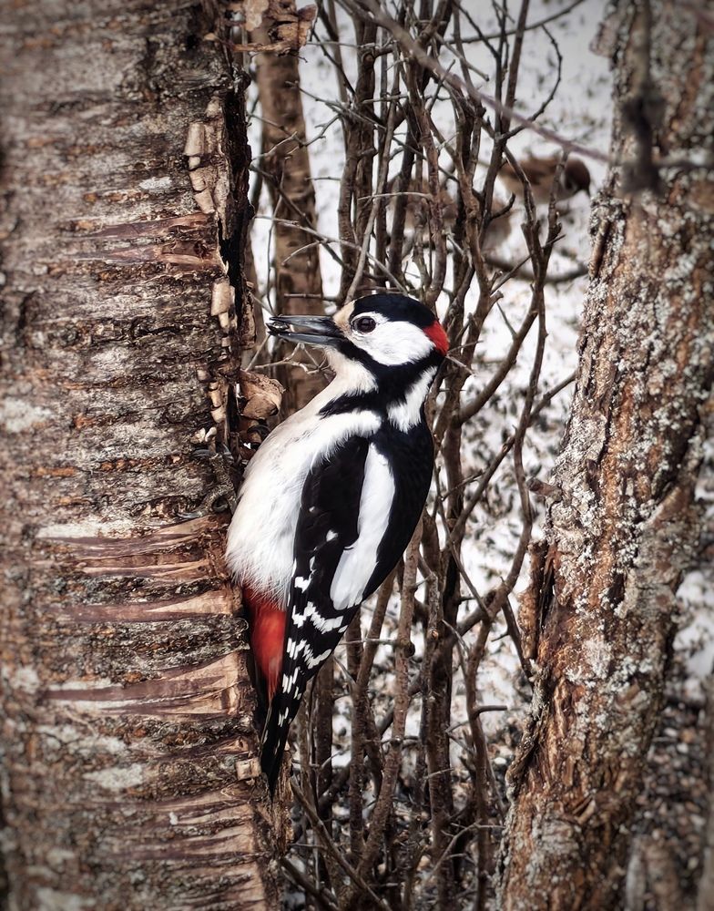 Photograph by Ярославна