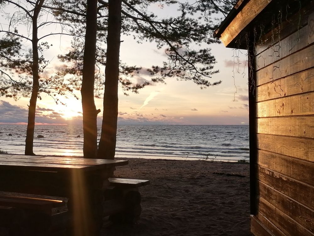 Фотография автора Анохина Юлия