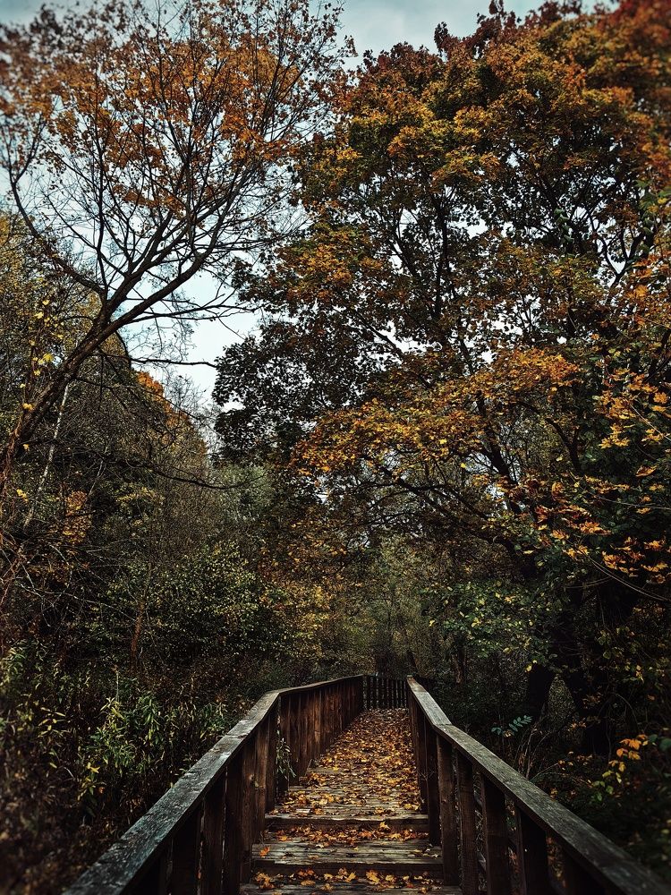 Photograph by Ярославна