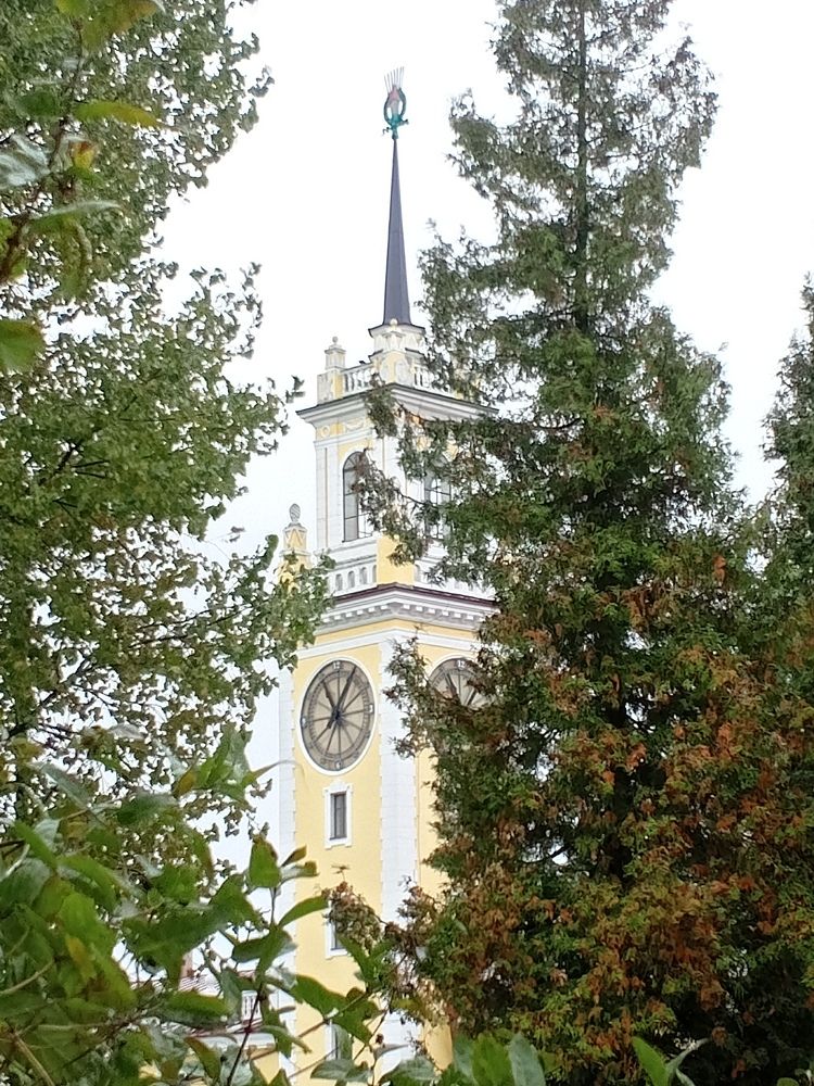 Photo #11155394
