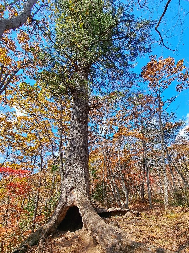 Photograph by Оксана Юдина