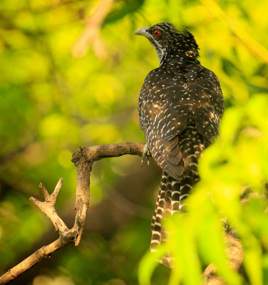 Photograph by SARAVANA MANICKAM