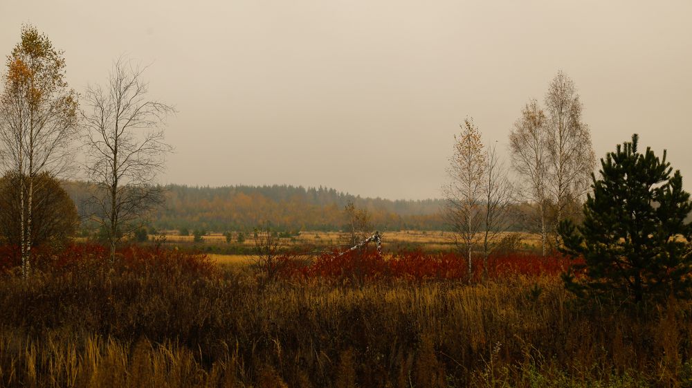 Photograph by Елена Буканина